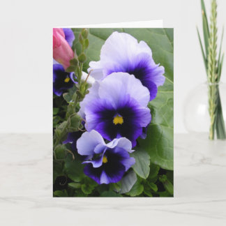 Purple Pansies Card