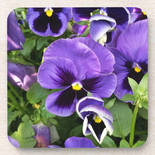 purple pansies coaster (Front)