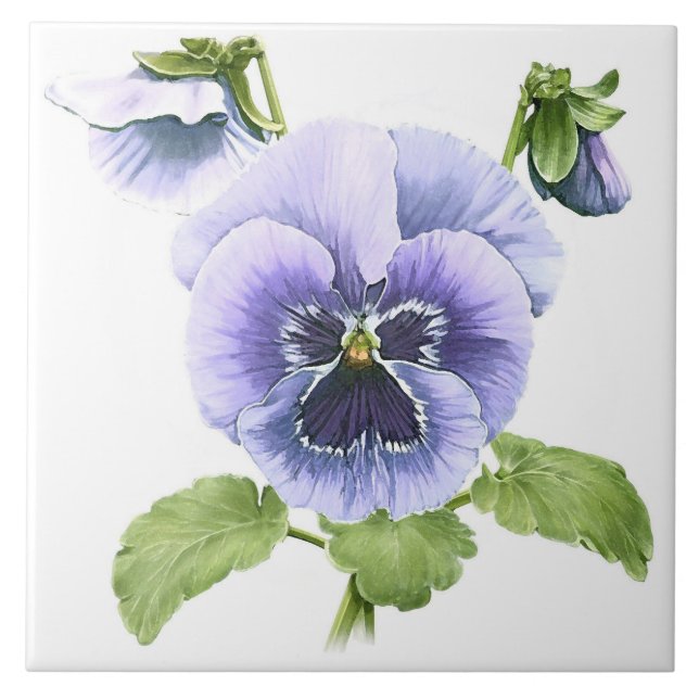 Purple Pansies Flowers Botanical Art Ceramic Tile (Front)