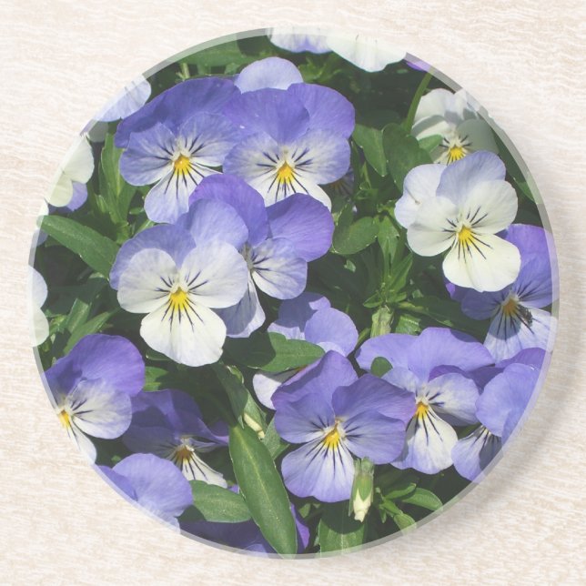 Purple Pansies Garden Floral Coaster (Front)