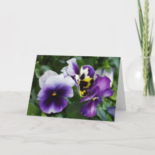 Purple Pansies Greeting Card