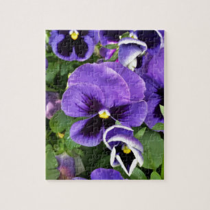 purple pansies jigsaw puzzle