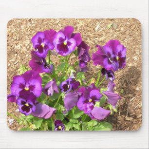 Purple Pansies Mousepad