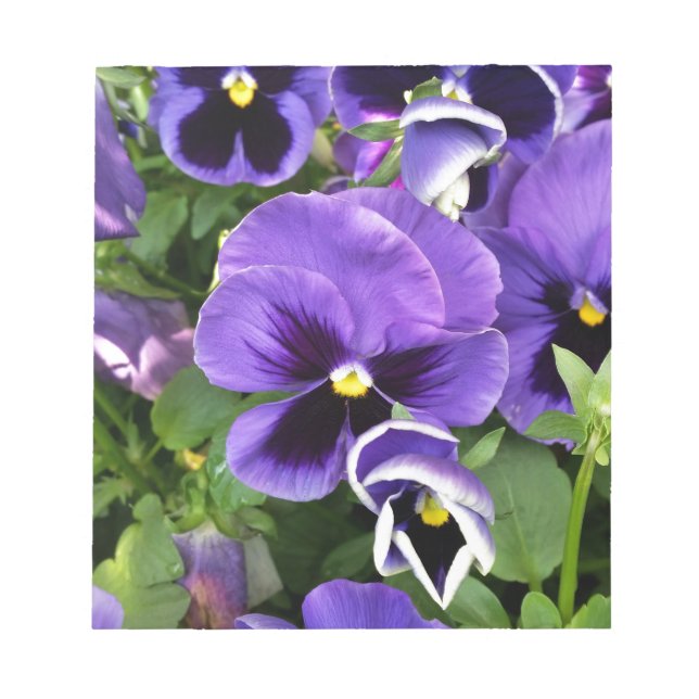 purple pansies notepad (Front)
