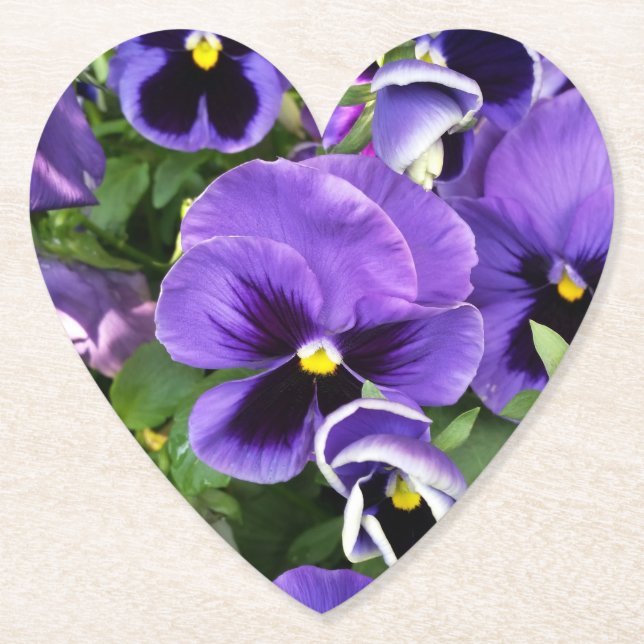 purple pansies paper coaster (Front)