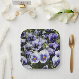 Purple Pansies Paper Plate