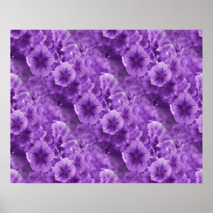 Purple Pansies... Poster