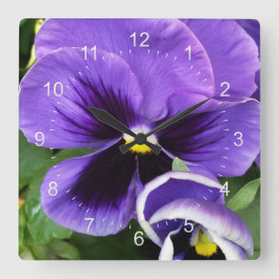 purple pansies square wall clock