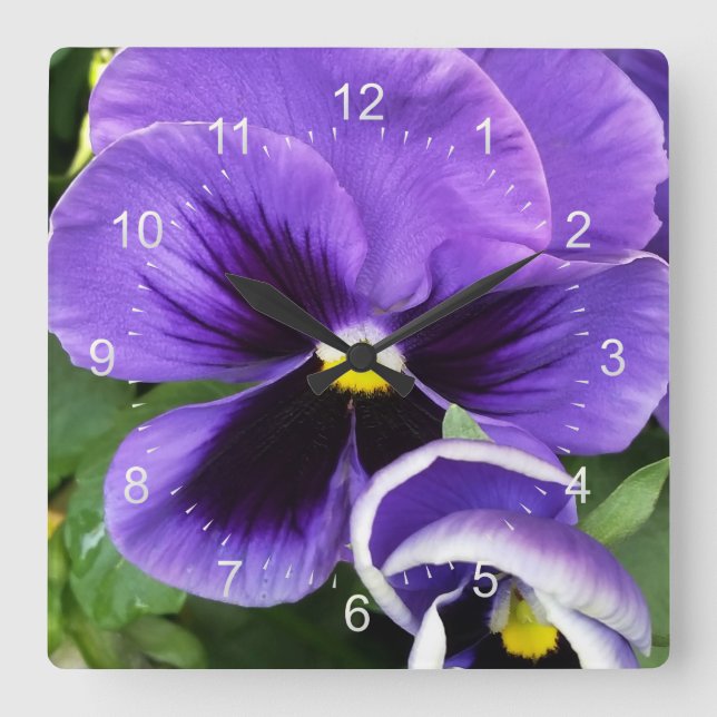 purple pansies square wall clock (Front)