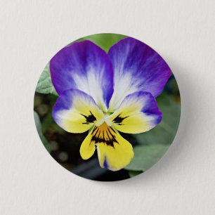 Purple Pansy 6 Cm Round Badge