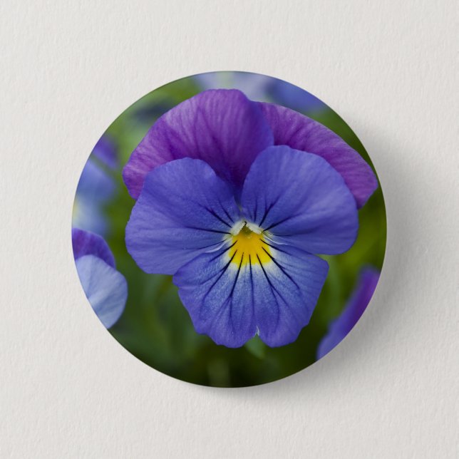 Purple Pansy 6 Cm Round Badge (Front)