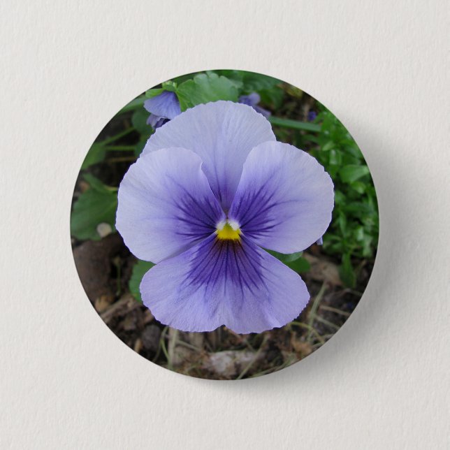 Purple Pansy 6 Cm Round Badge (Front)