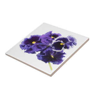 Purple Pansy Ceramic Tile