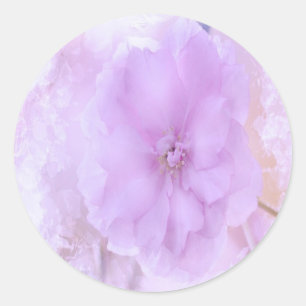 Purple Pansy Classic Round Sticker