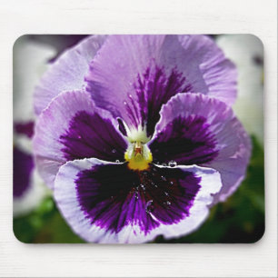 Purple Pansy Close Up Mouse Pad