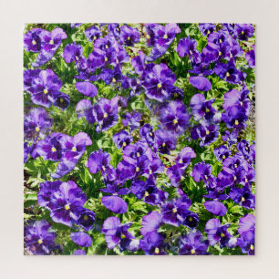 Purple Pansy Field,   Jigsaw Puzzle