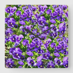Purple Pansy Field, Square Wall Clock