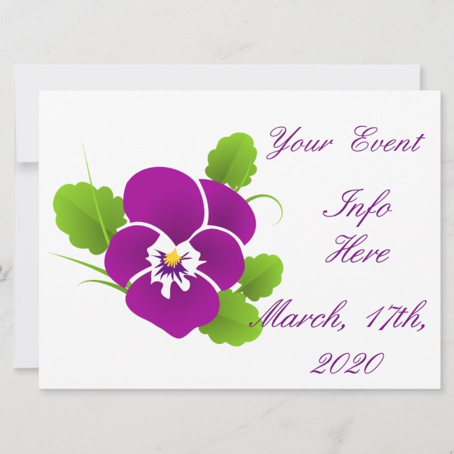 Purple Pansy Flower Thunder_Cove (Front)