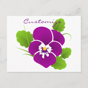 Purple Pansy Flower Thunder_Cove Postcard
