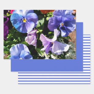 Purple Pansy Flowers Stripes and Solid  Wrapping Paper Sheet
