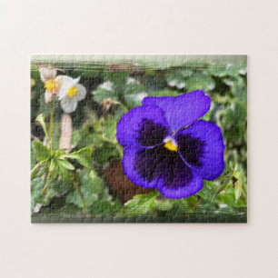 Purple pansy jigsaw puzzle