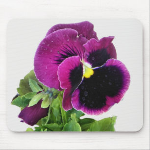 Purple pansy mousepad