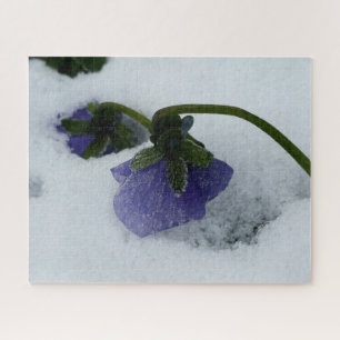 Purple pansy on the snow jigsaw puzzle