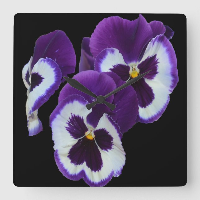 Purple Pansy Portrait, Square Wall Clock (Front)