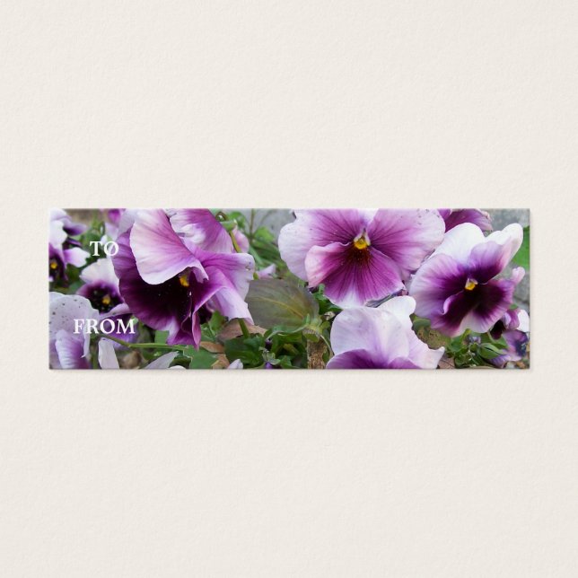 Purple Pansy Profile Card (Front)