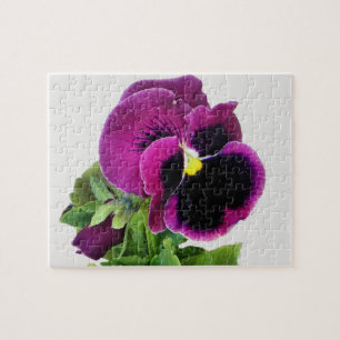 purple pansy puzzle