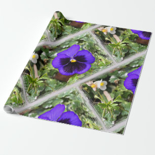 Purple pansy wrapping paper