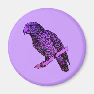 Purple Parrot Magnet