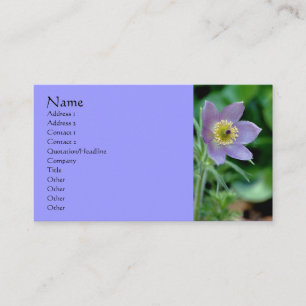 Purple Pasque Flower Photography Business Card