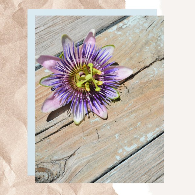 Purple Passiflora Flower Weathered Rustic paper (Creator Uploaded)