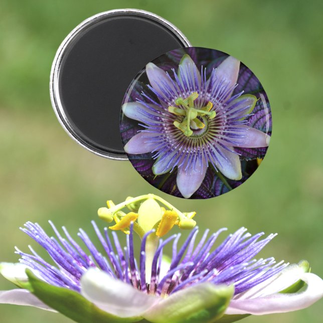 Purple Passiflora Passion Flower Magnet (Creator Uploaded)