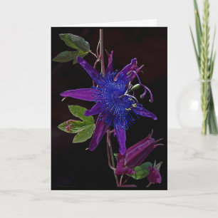 Purple Passion Card