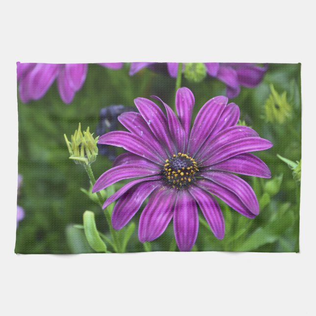 Purple Passion Dish Towel (Horizontal)
