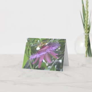 Purple Passion Flower Note Cards