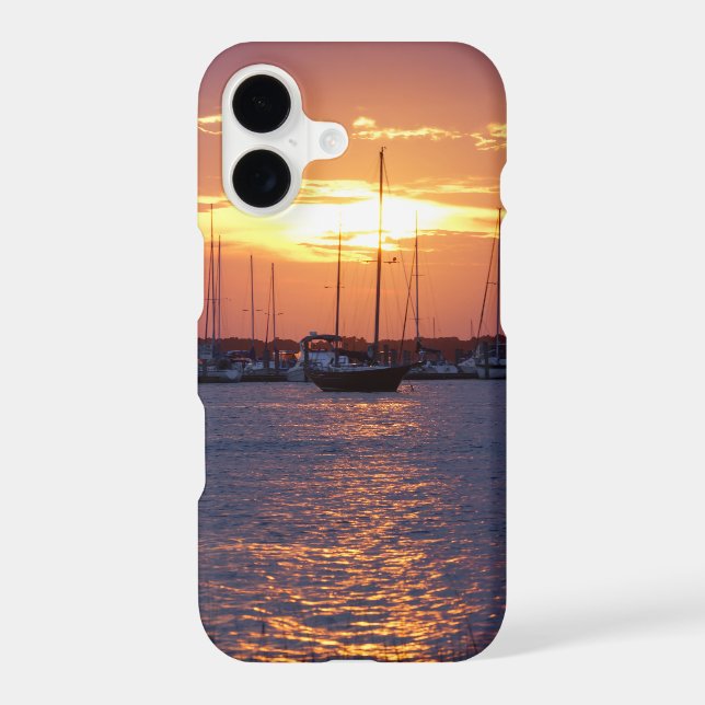 Purple Passion Sunset (Back)