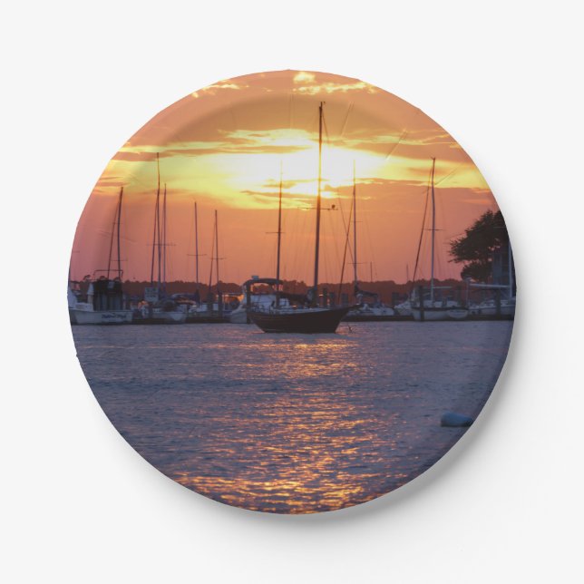 Purple Passion Sunset Paper Plate (Front)