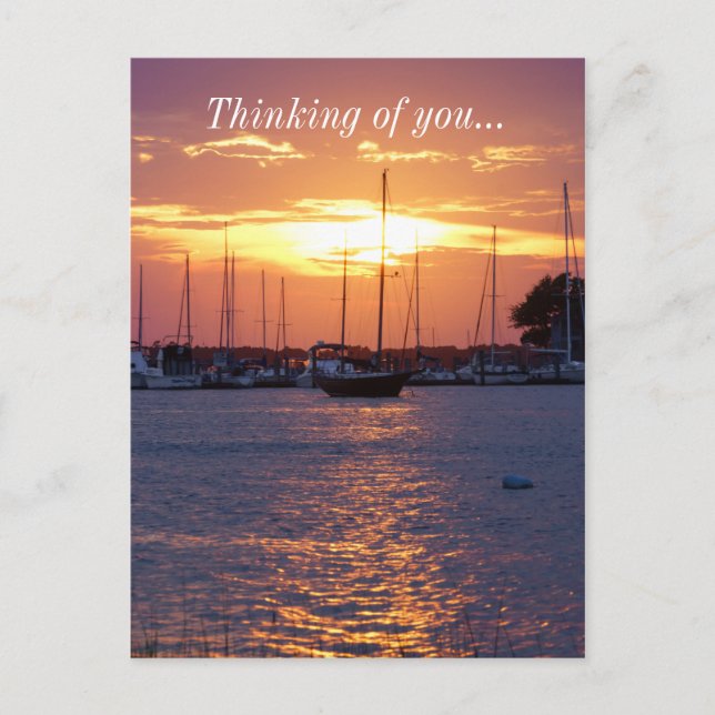 Purple Passion Sunset Postcard (Front)