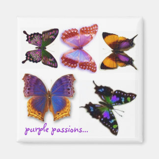 Purple Passions Butterflies Magnet by S Ambrose
