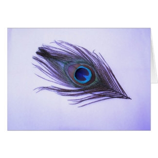 Purple Peacock Feather