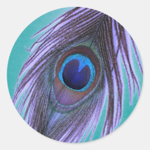 Purple Peacock Feather on Teal Classic Round Sticker