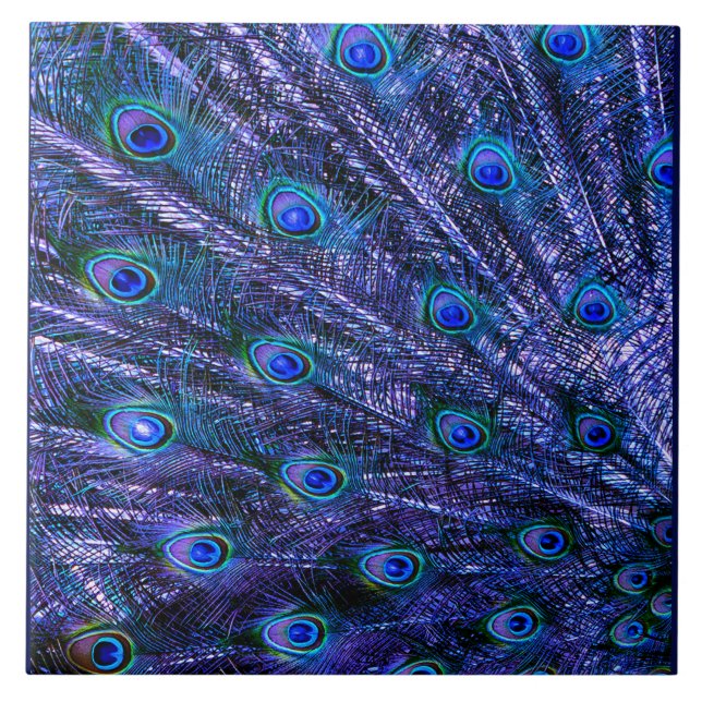 Purple Peacock Feathers Baby Blanket Ceramic Tile (Front)