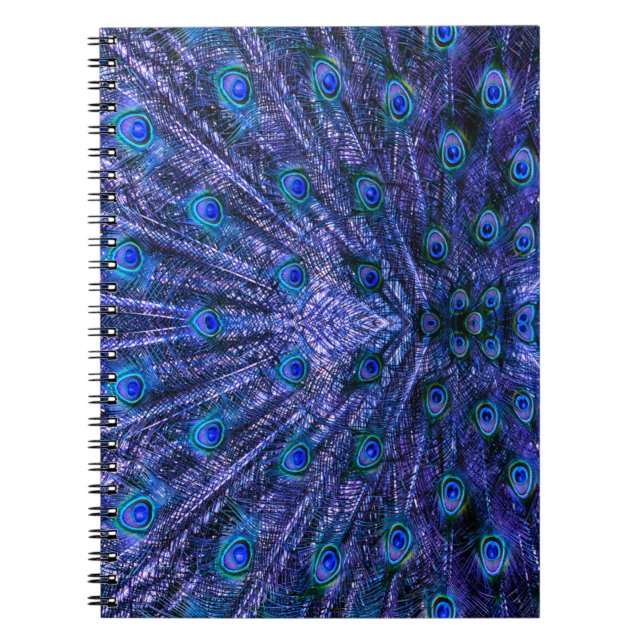 Purple Peacock Feathers Notebook (Front)