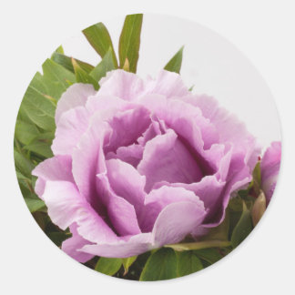 Purple Peonies Bouquet Classic Round Sticker