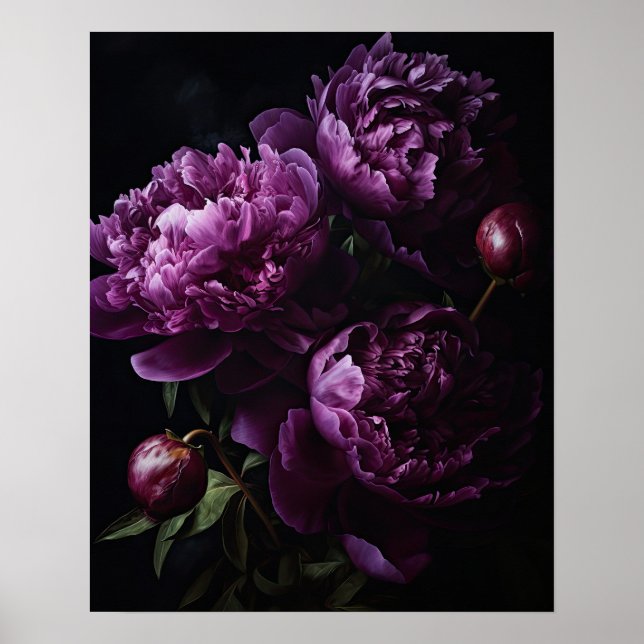 Purple Peony Flowers Art Print Poster (Front)