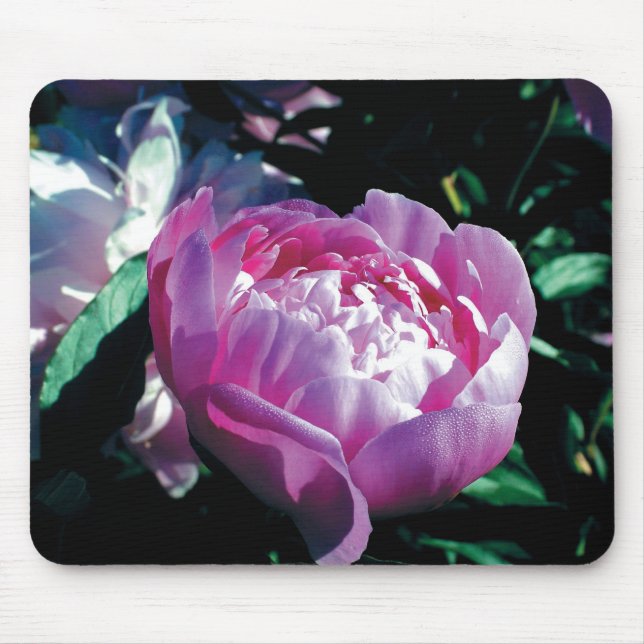 Purple Peony Mousepad (Front)