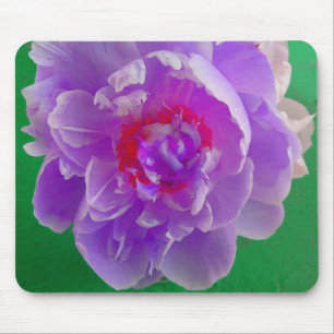 Purple Peony MousePad